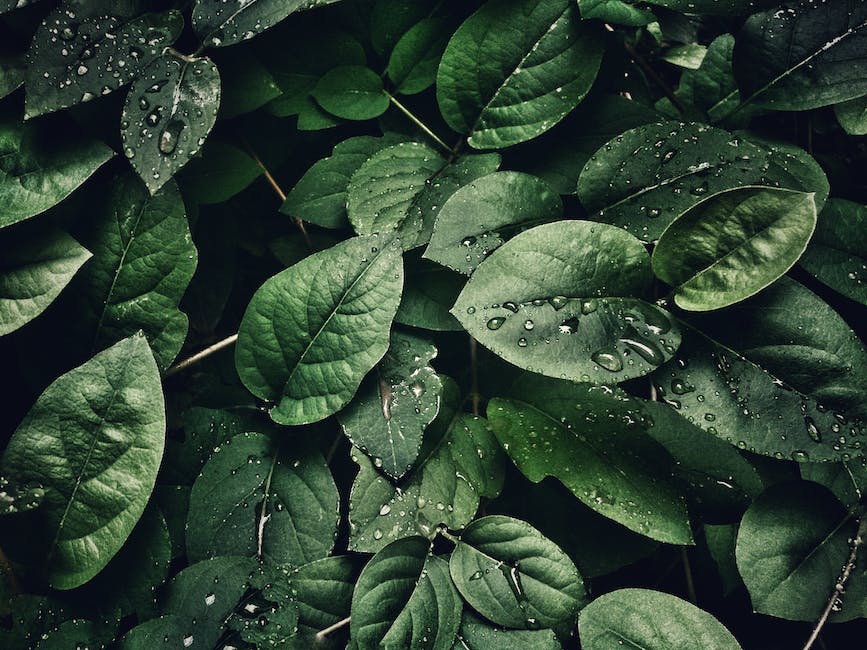 Correlation Between Moisture Measurement and Dehumidification