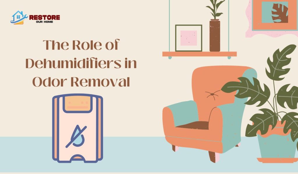 The Role of Dehumidifiers in Odor Removal